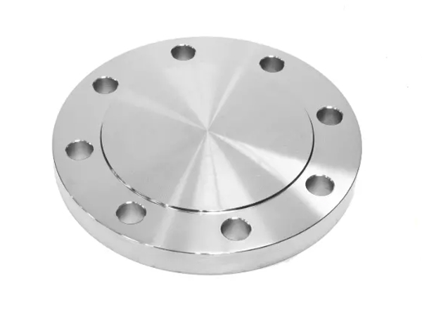 Titanium Flange